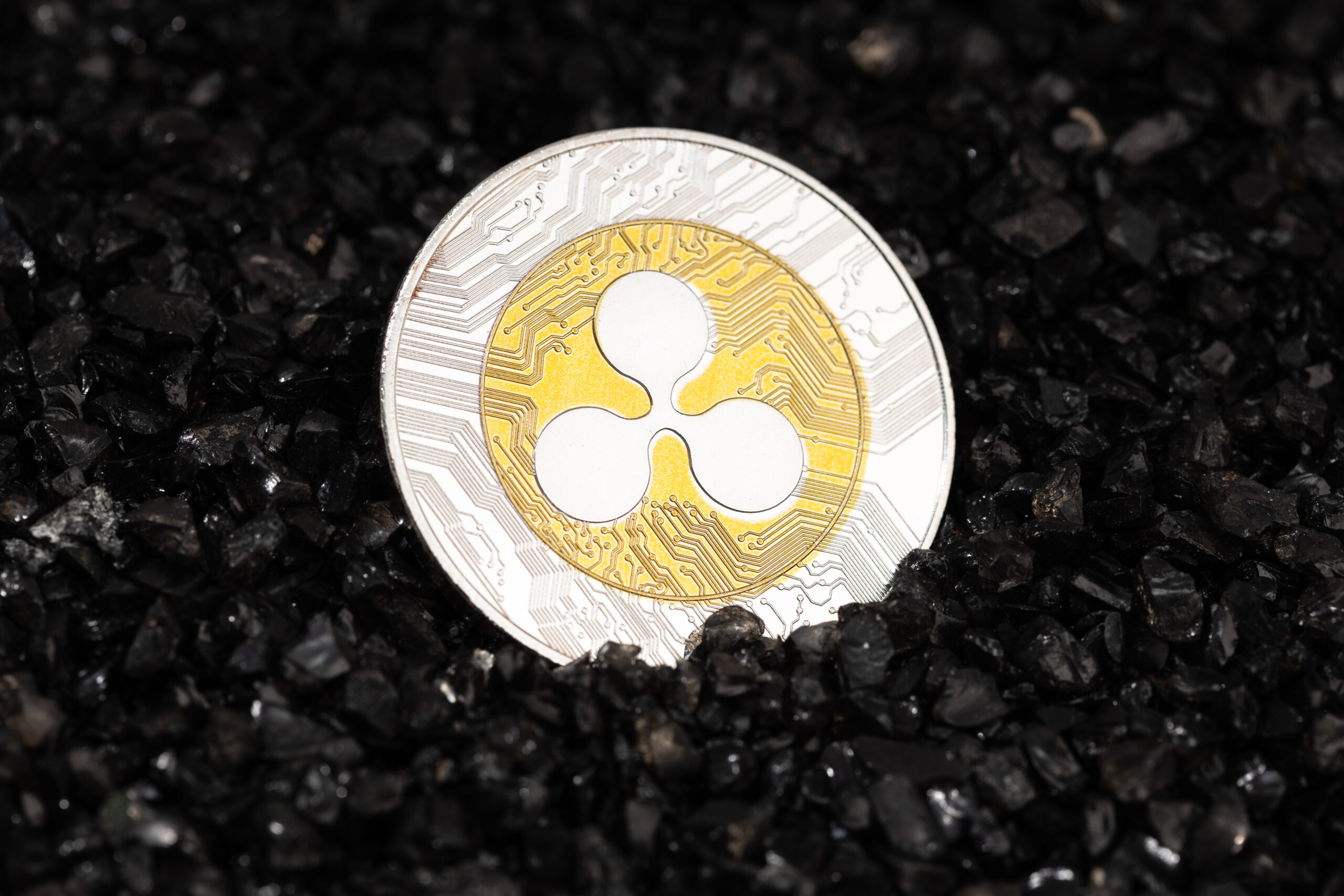 Майк Новограц о ключевых факторах развития XRP и Cardano