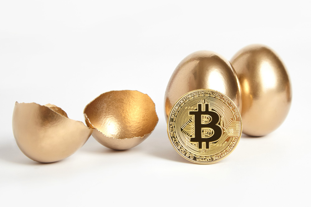 Экономист Стив Ханке о биткоине: критика без компромиссов